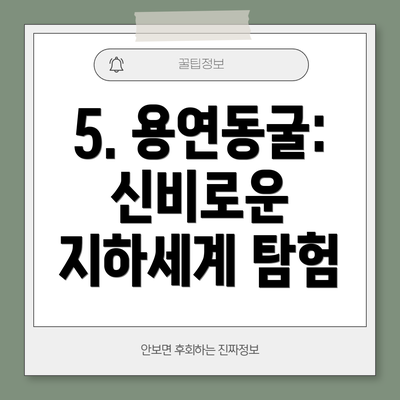 5. 용연동굴: 신비로운 지하세계 탐험