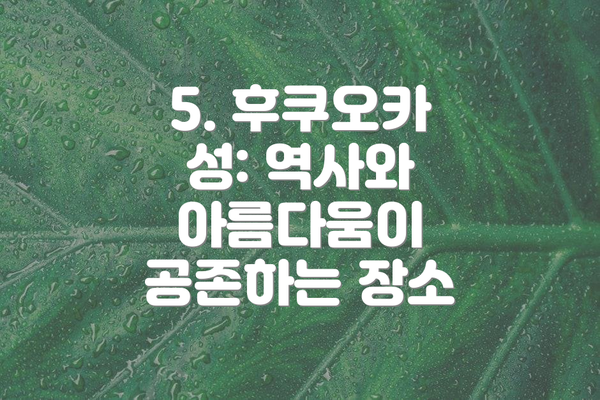 5. 후쿠오카 성: 역사와 아름다움이 공존하는 장소