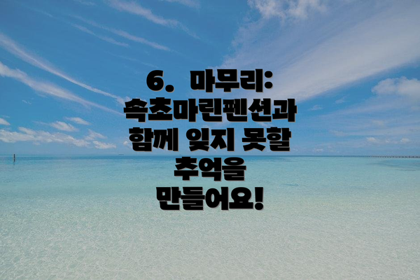 6.  마무리: 속초마린펜션과 함께 잊지 못할 추억을 만들어요!