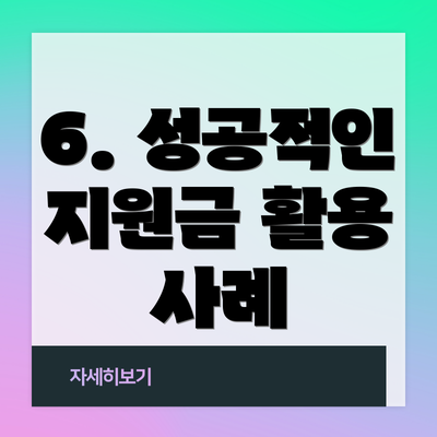 6. 성공적인 지원금 활용 사례