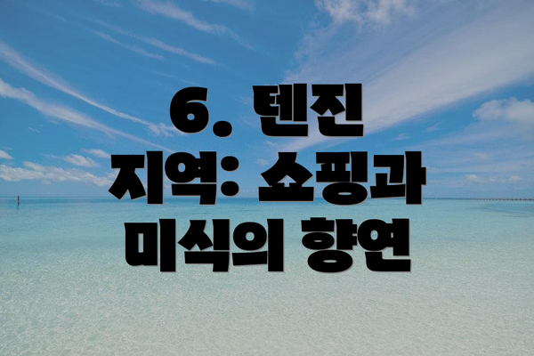 6. 텐진 지역: 쇼핑과 미식의 향연