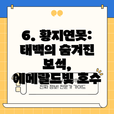 6. 황지연못: 태백의 숨겨진 보석, 에메랄드빛 호수