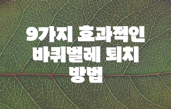 9가지 효과적인 바퀴벌레 퇴치 방법
