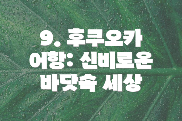 9. 후쿠오카 어항: 신비로운 바닷속 세상