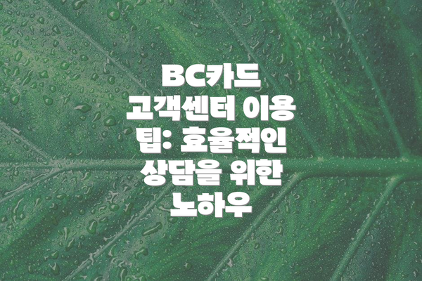 BC카드 고객센터 이용 팁: 효율적인 상담을 위한 노하우