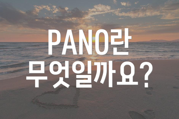 PANO란 무엇일까요?